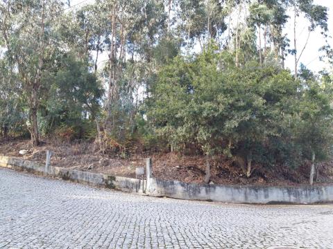 Land, for sale, located in Touguinha