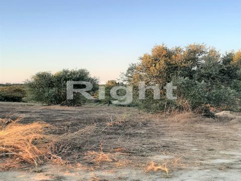 Plot of land in the Rio Maior area