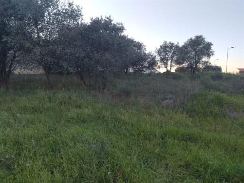 Terreno à venda na Quinta da Pipa
