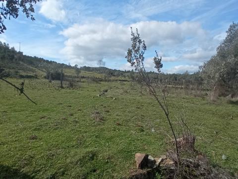 Rustic land with a total area of 1720 m2 located in Aranhas, Penamacor.