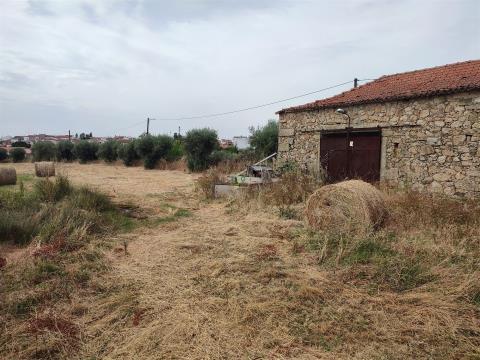Irrigated farm of 15880m2 with a total built area of 116.68m2.