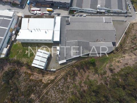 Industrial Warehouse for sale in Trofa