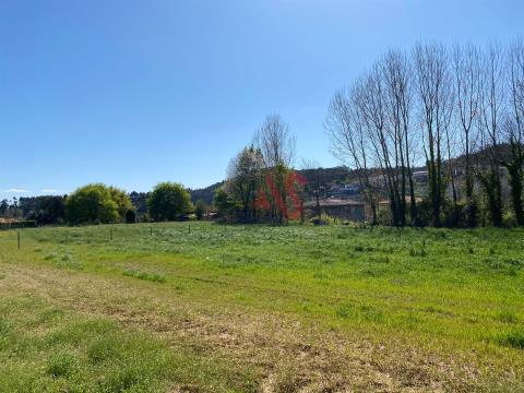 Rustic land with 24.914m2 in Briteiros S. Salvador, Guimarães