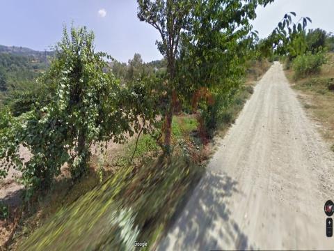 Agricultural farm with 17,960m2 in Telhe, Marco Canaveses.