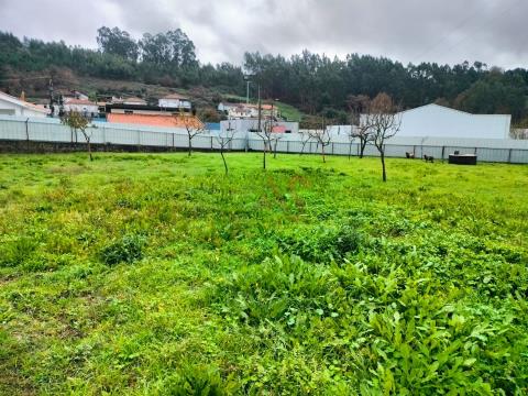 Building land with 1,200m2 in Aves, Stº Tirso.