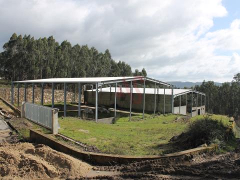 Terrain de 8 000 m2 avec 2 entrepôts en construction à Cruz, Vila Nova de Famalicão