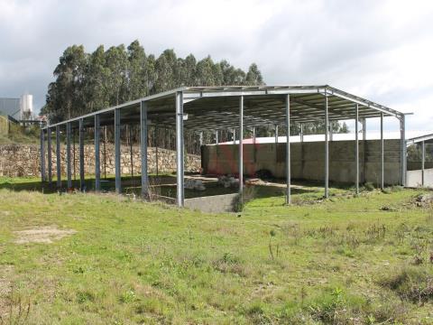 Terrain de 8 000 m2 avec 2 entrepôts en construction à Cruz, Vila Nova de Famalicão
