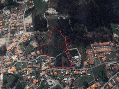 Terreno Rústico com 22.000 m2 em Guardizela, Guimarães