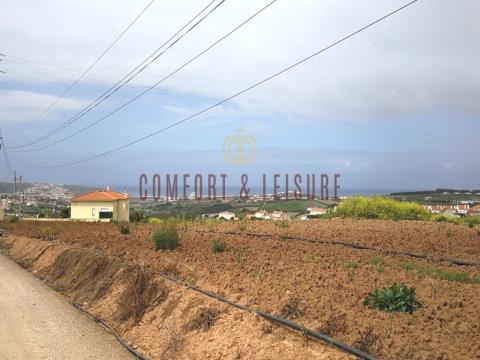 Allotment for 5 houses in a condominium with pool in Lourinhã