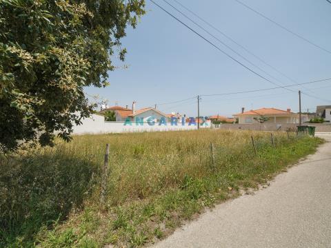 ANG832 - Terreno para construção para Venda em S. Jorge, Porto de Mós