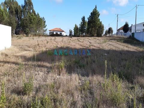ANG960 - Terreno para Construção, para Venda na zona de Monte Real, em Leiria