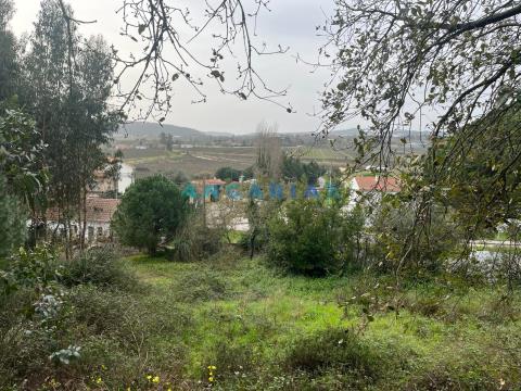ANG1032 -  Land for Sale, in Maiorga, Alcobaça