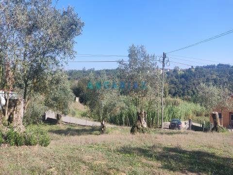 Rustic Land with 539m2 for Sale in Milagres, Leiria
