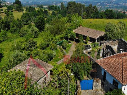 Farm for sale in Braga