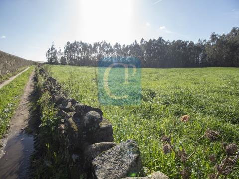 Land with 10,000 m2, in the industrial zone of Rio Mau (Vila do Conde)