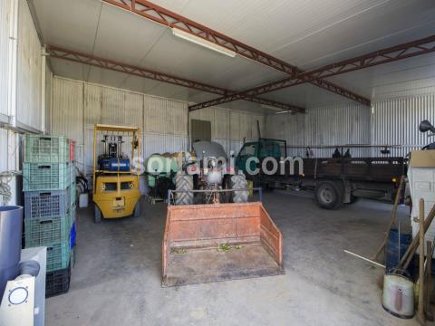 Sortami - Mediação Imobiliária, Lda.