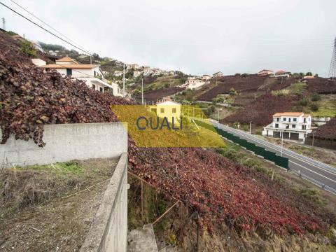 Terreno di 3923m2 situato a Câmara De Lobos - Isola di Madeira -  € 275.000,00