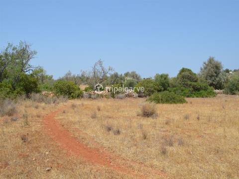 Serene Land in Canais, Albufeira - Ideal for Agriculture Projects