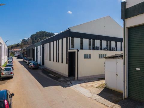 Entrepôt / Pavillon industriel - Granges, Braga