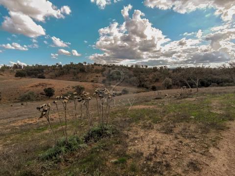 Estate of 39.9 hectares with ruin possible to rebuild up to 300m2, Odemira