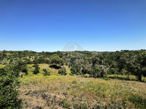 Rustic land with 11.95ha with feasibility of construction on the Alentejo Coast