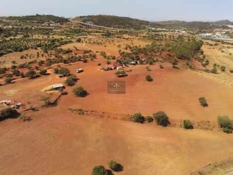 Farm with 12 hectares -S. Bartolomeu de Messines