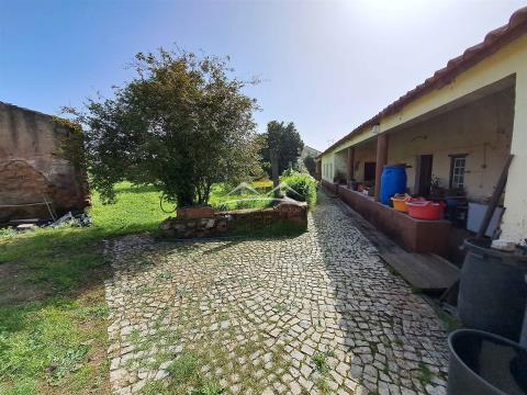 Traditional Portuguese farm with orchard and well in Ferreira do Zêzere